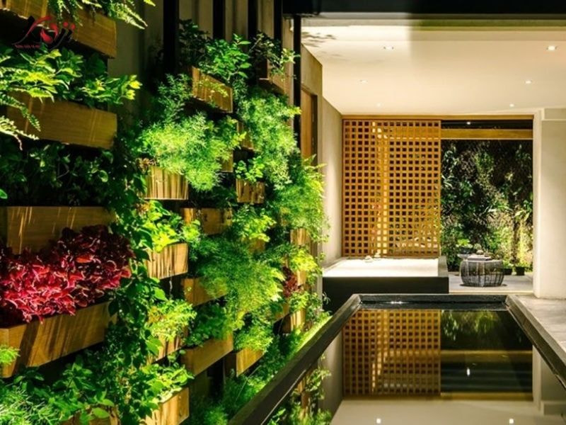 Thiết kế sân vườn nhà ống