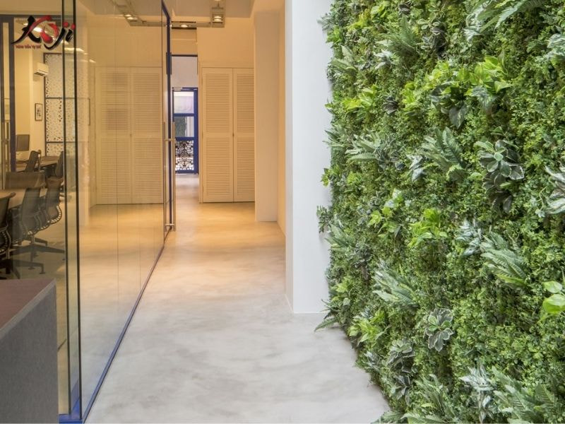 Thiết kế sân vườn nhà ống