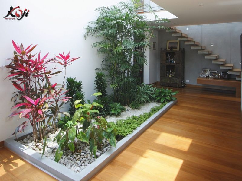 Thiết kế sân vườn nhà ống