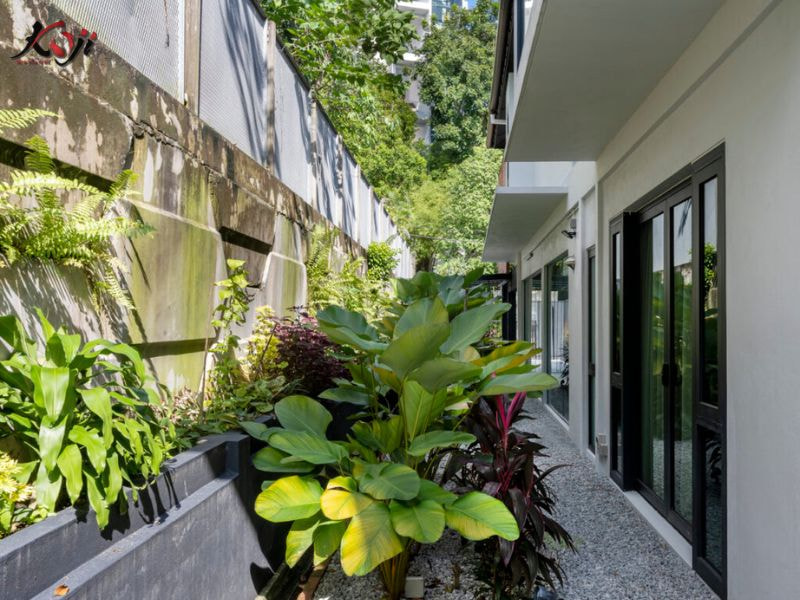 Thiết kế sân vườn nhà ống