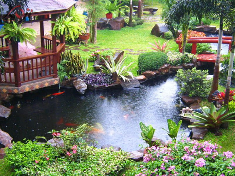 báo giá thi công hồ cá Koi ngoài trời