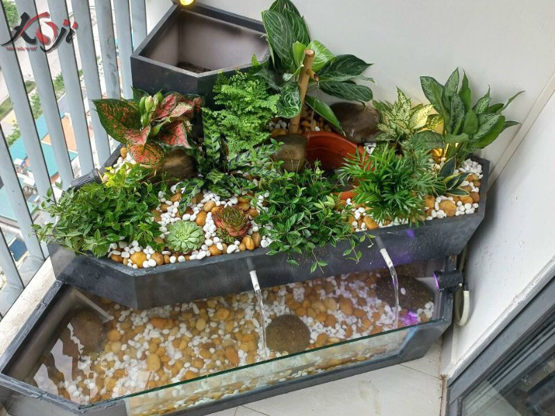 bể cá ban công