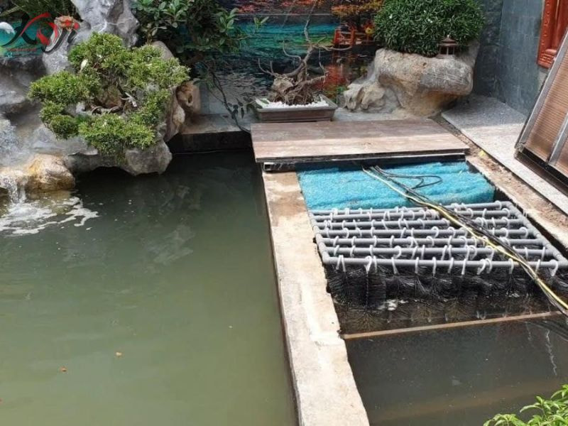 bơm hút đáy bể cá