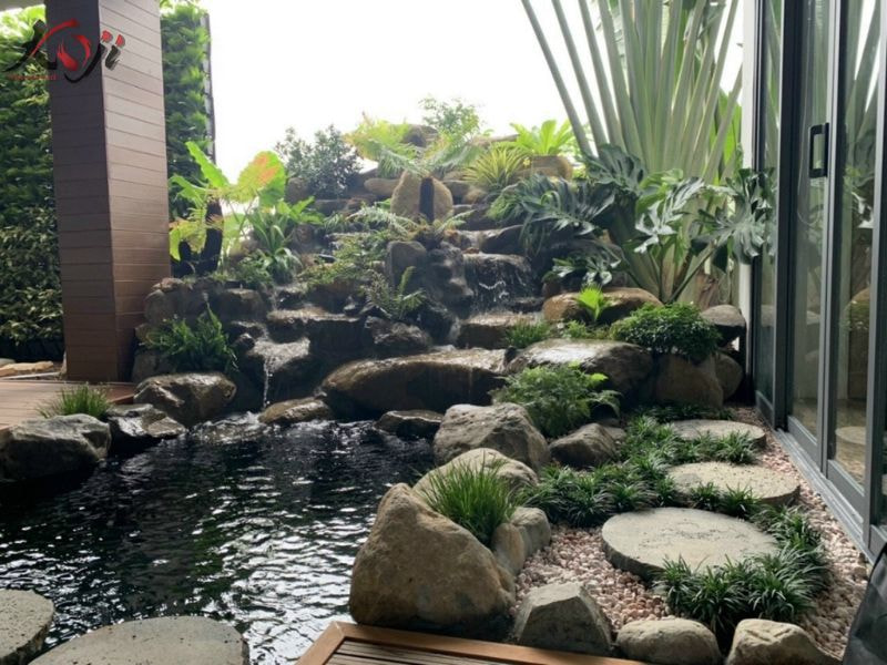 cá cảnh Nam Định