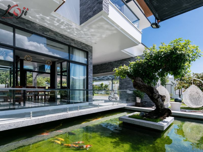 cá cảnh Nam Định