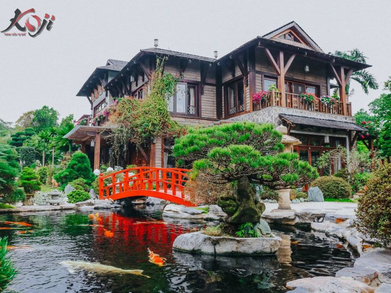 cá cảnh Nam Định