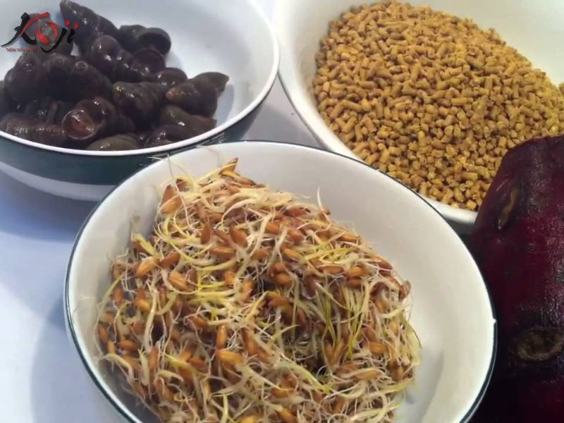 cách làm thức ăn cho cá