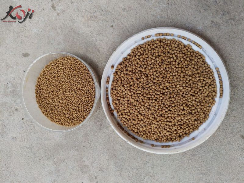 cách làm thức ăn cho cá