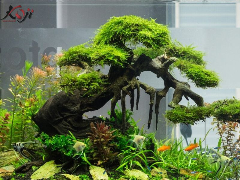 cây bonsai giả