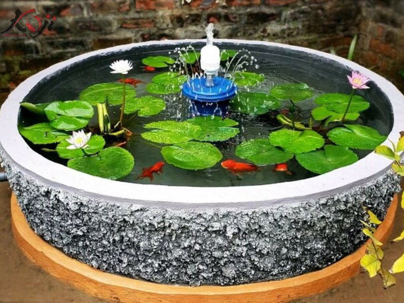 chậu xi măng nuôi cá Koi