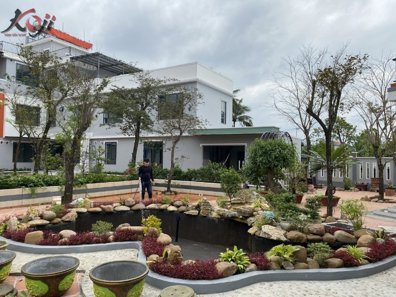 chậu xi măng nuôi cá Koi