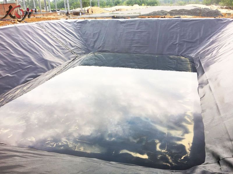 chống thấm hồ cá Koi