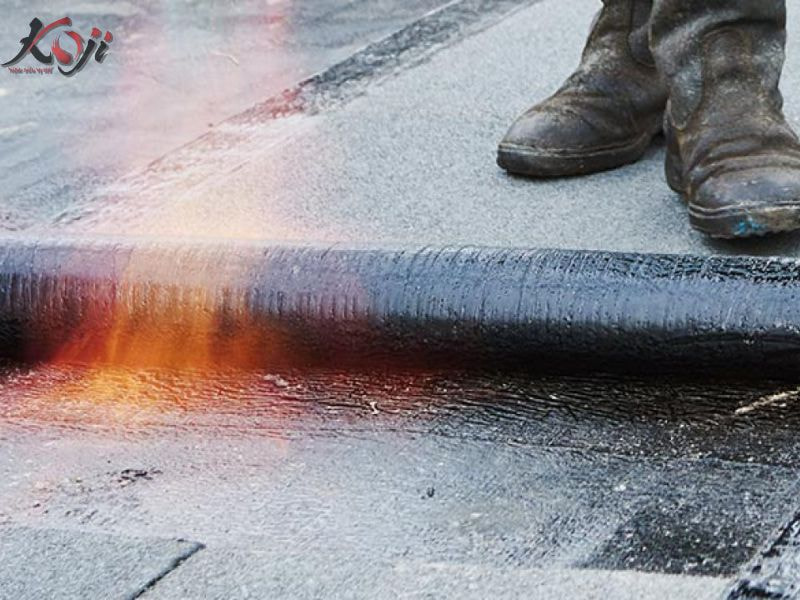 chống thấm hồ cá Koi