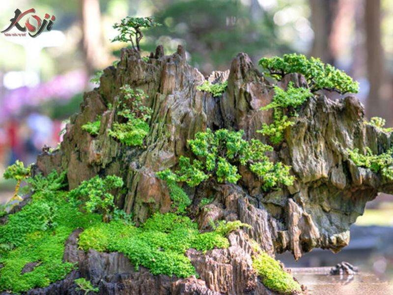 mẫu hòn non bộ ngoài trời