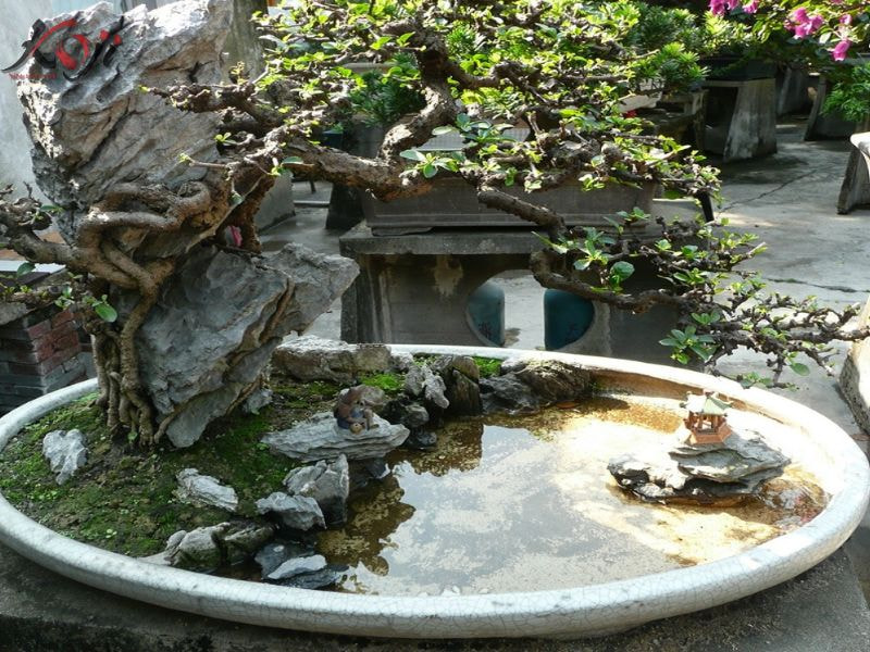 mẫu hòn non bộ ngoài trời