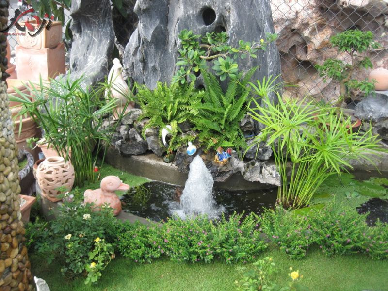 đơn vị thi công hồ cá Koi thái bình
