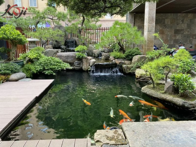 đơn vị thi công hồ cá Koi thái bình