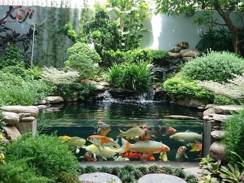mẫu hồ cá bằng kính đẹp