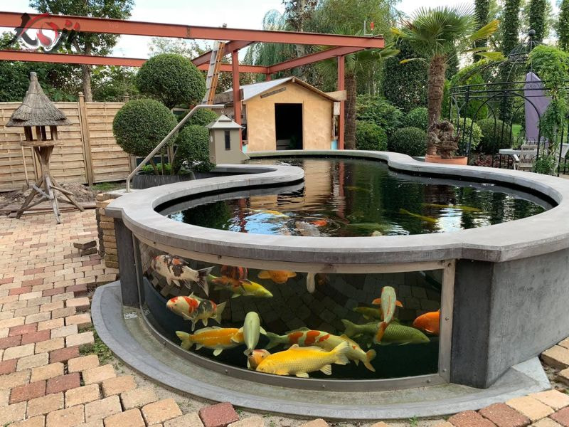 mẫu hồ cá bằng kính đẹp