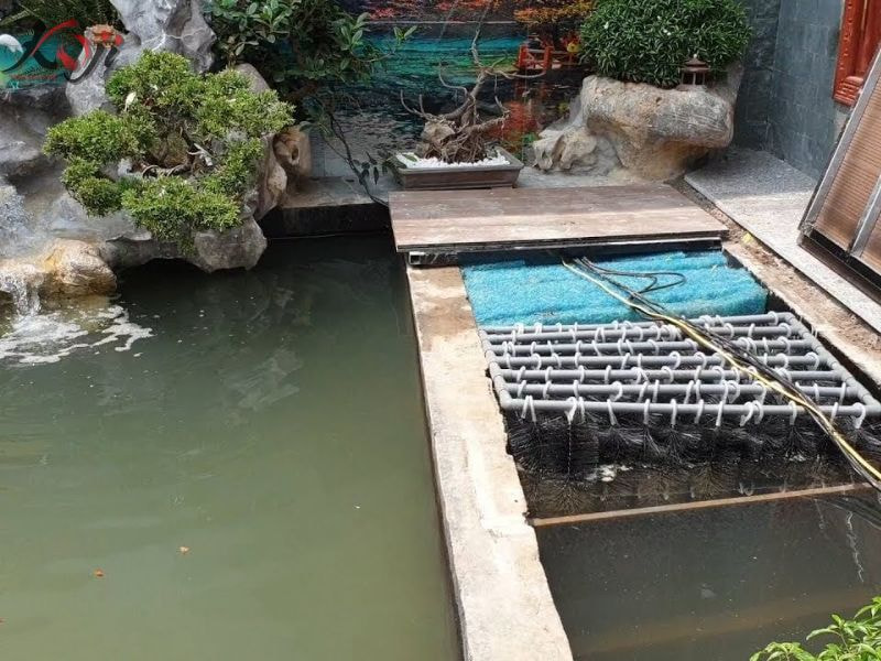 hệ thống lọc hồ cá Koi hiện đại