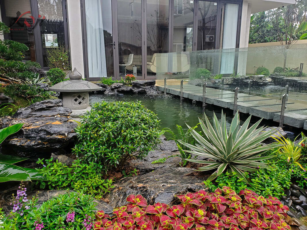 Thiết kế hồ cá Koi