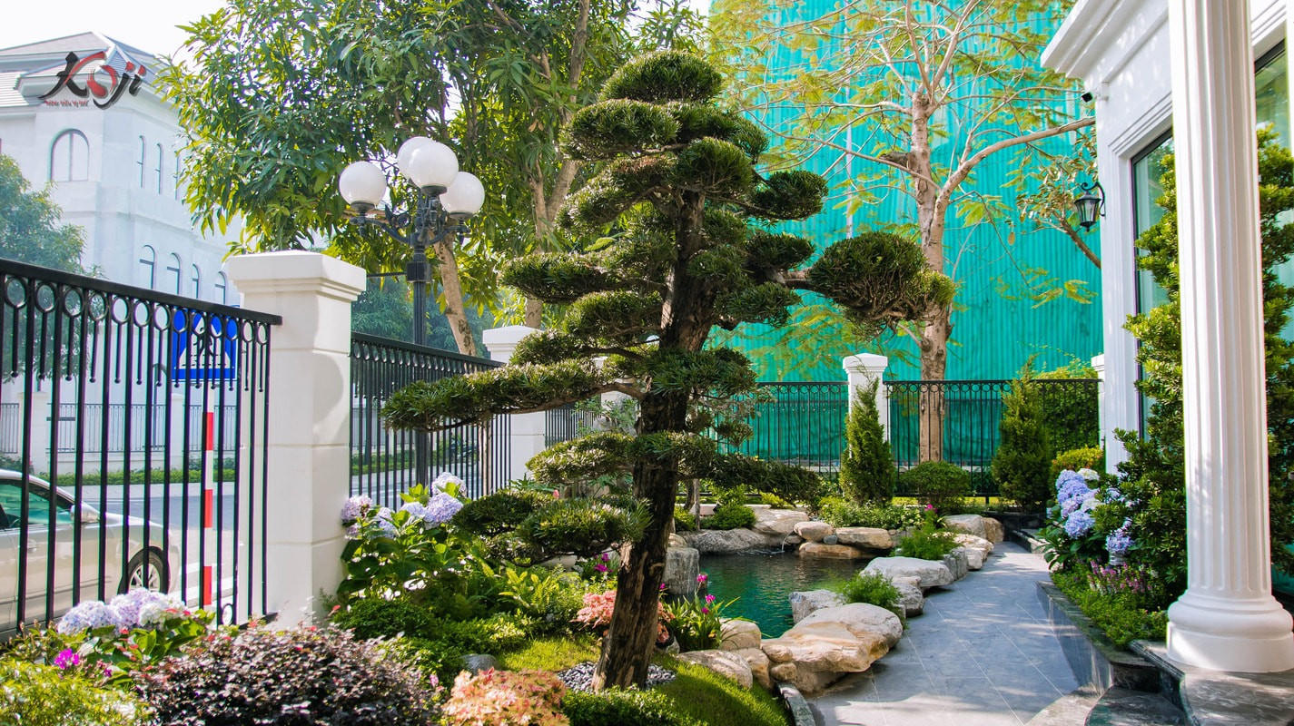 Thiết kế hồ cá Koi