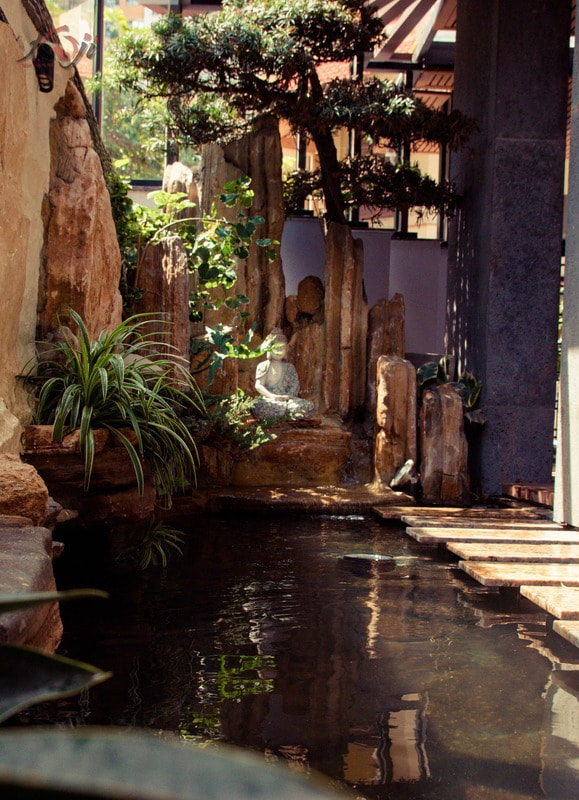 Thiết kế hồ cá Koi