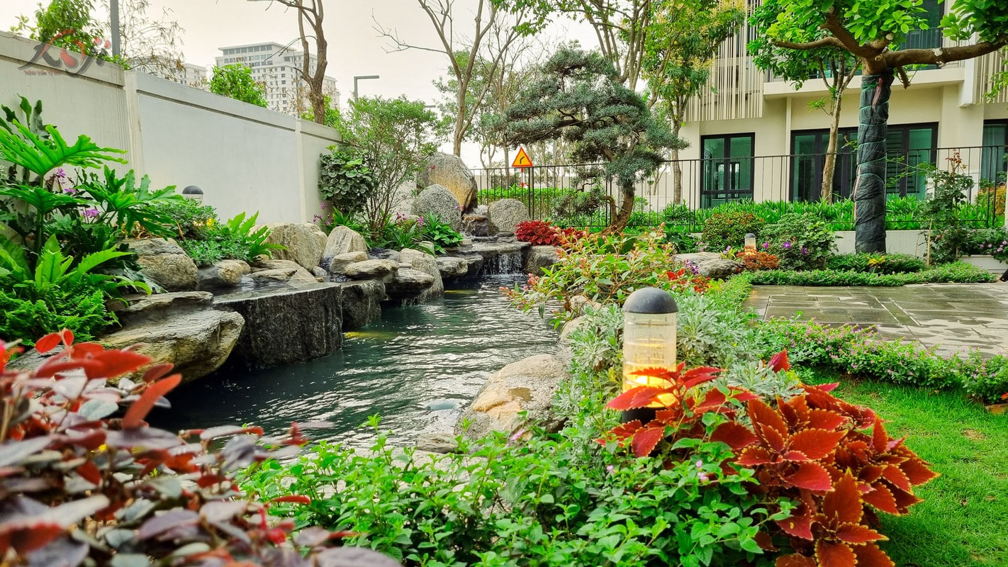 thiết kế thi công hồ cá Koi