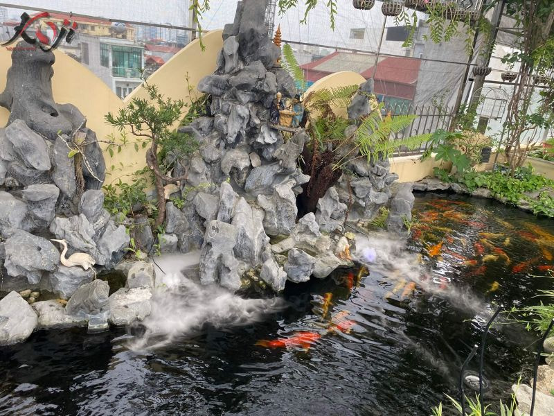 hồ cá Koi hòn non bộ