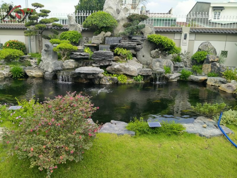 hồ cá Koi hòn non bộ