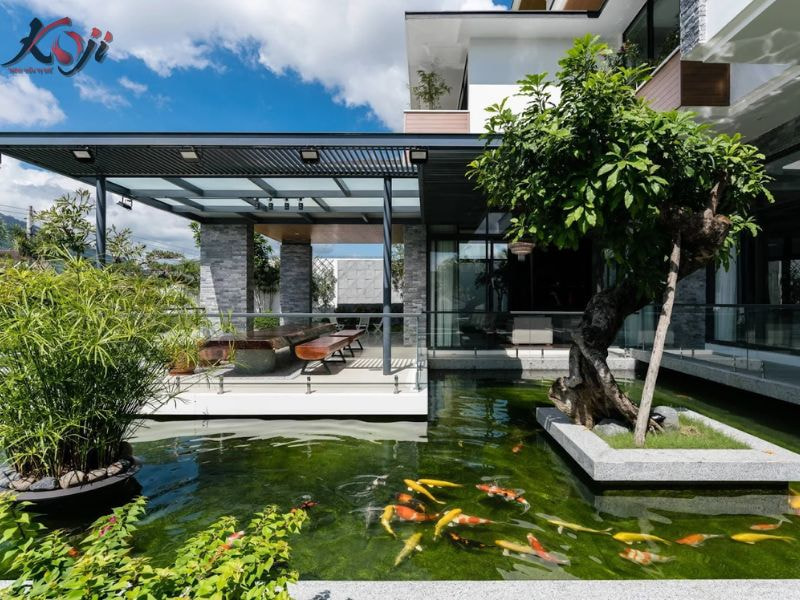 hồ cá trước nhà