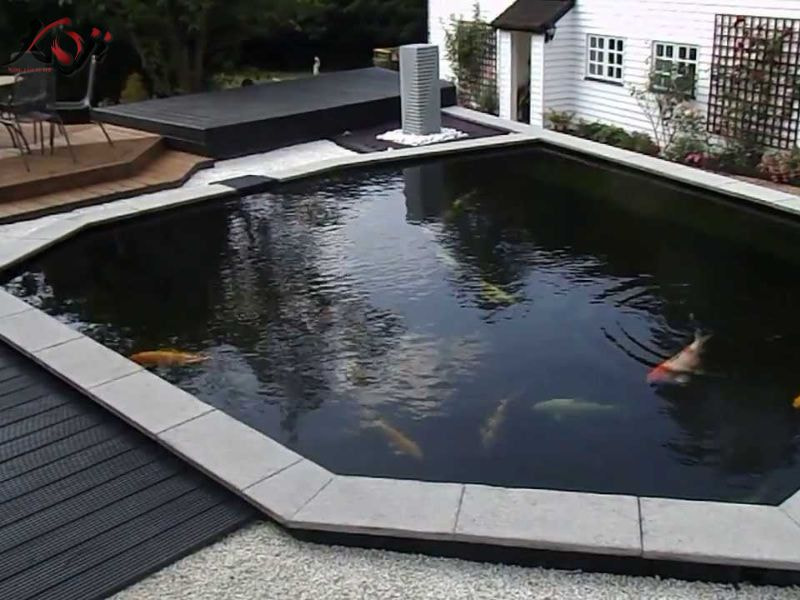 hồ cá trước nhà