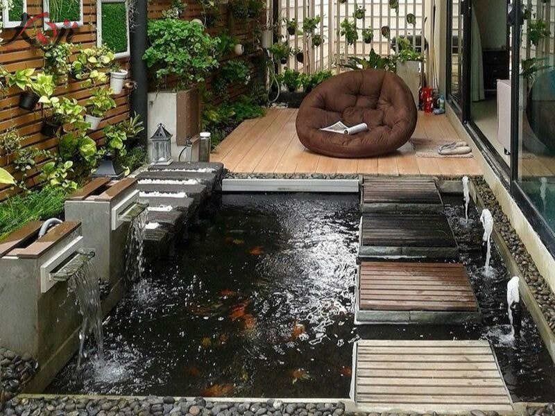 hồ cá trước nhà