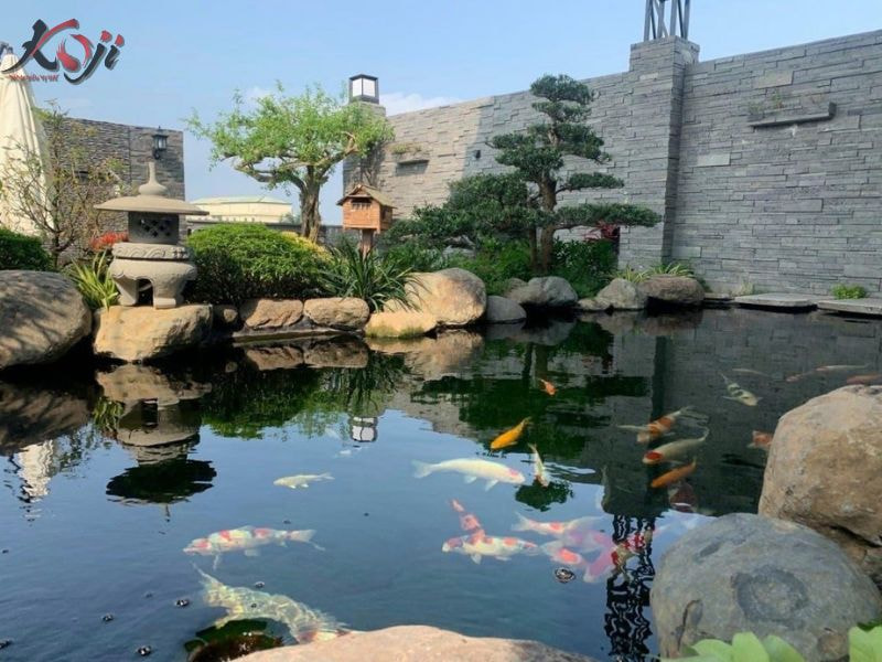 hồ cá trước nhà