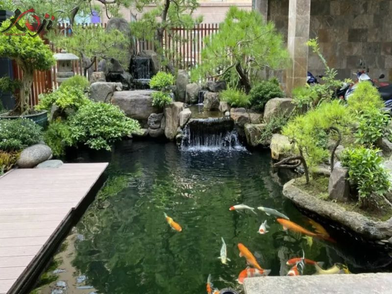 hồ cá trước nhà
