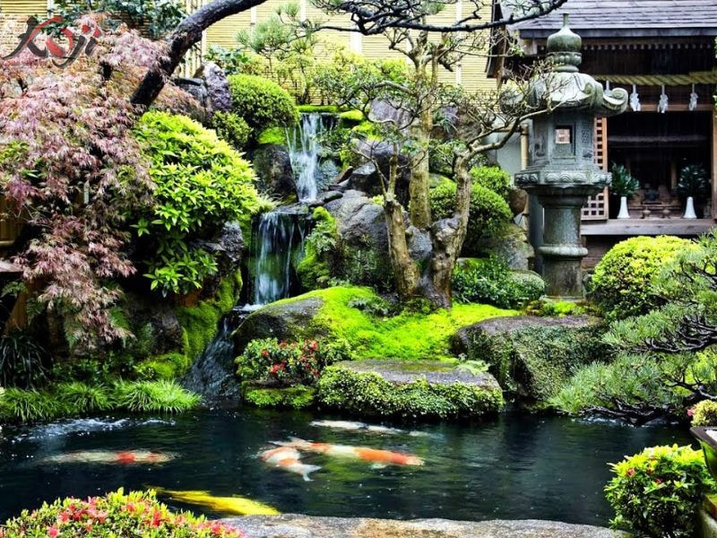 hồ cá trước nhà