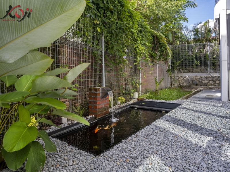 hồ cá trước nhà