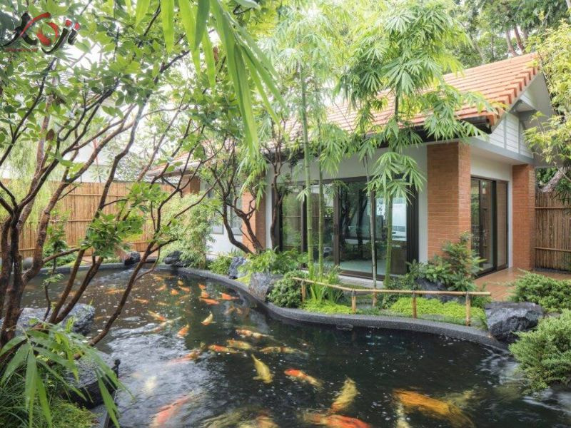 hồ cá trước nhà