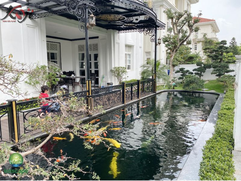 hồ cá trước nhà