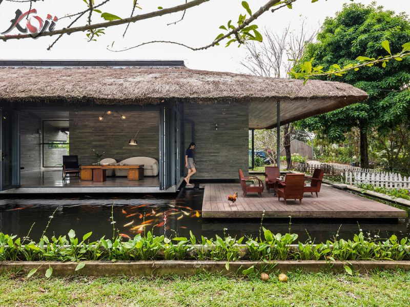 hồ cá trước nhà