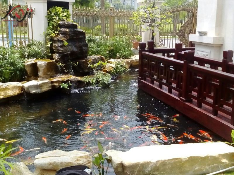 hồ cá trước nhà