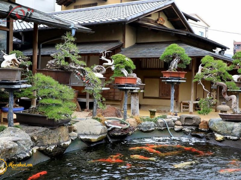 hồ cá trước nhà