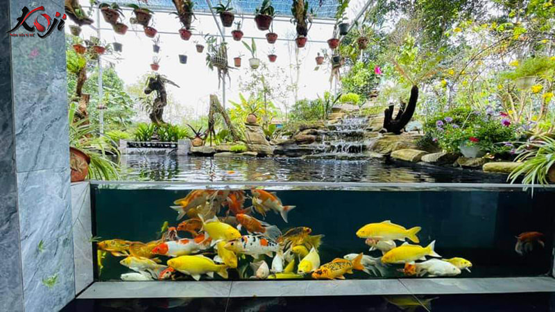 bảo dưỡng cây xanh