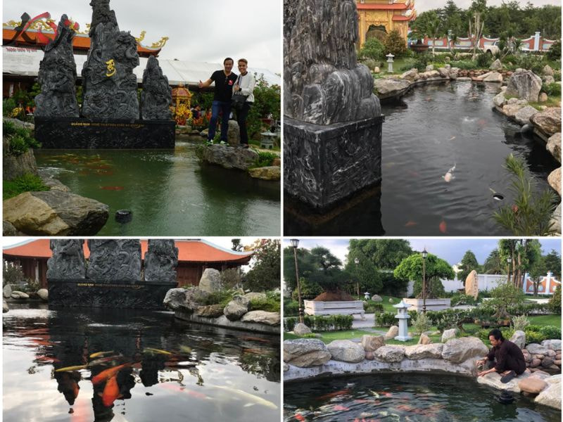 hồ cá koi tiền tỷ của Hoài Linh