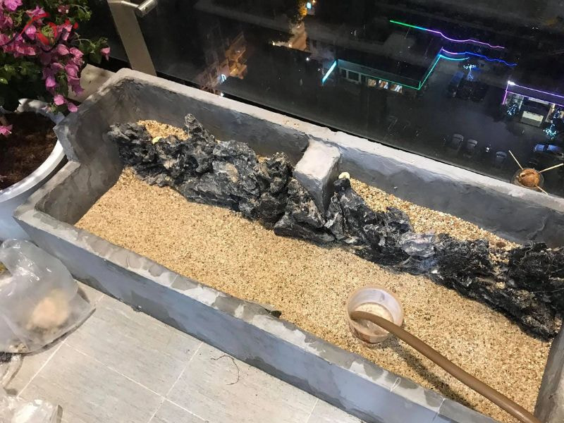 hồ cá koi xi măng