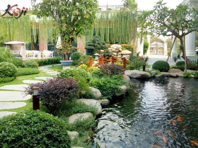 hồ cá koi xi măng