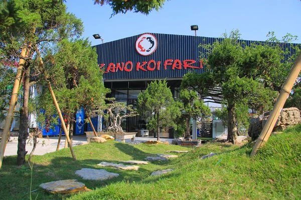 KanoKoi Farm như một công viên cá koi thu nhỏ