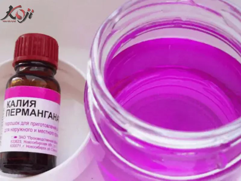 ký sinh trùng đơn bào costia