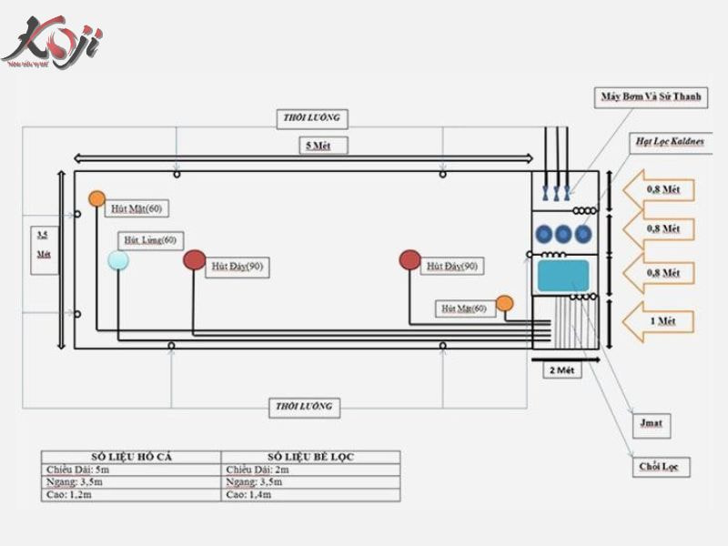làm hồ cá mini đẹp