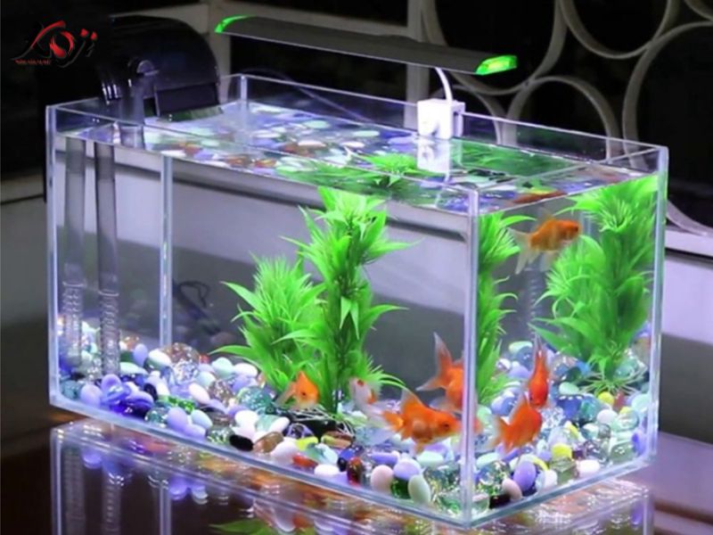 làm hồ cá mini đẹp